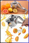 PREMIUM Manual Fruit and Citrus Juicer - Orange-Squeezing Handle Vegetable and Fruit Juicer - 5