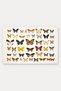Colorful Butterfly Collection Patterned 571 Doormat, 40x60 cm, Non-Slip Sole, Decorative - 5