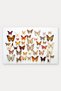 606 Orange Butterfly Garden Patterned Doormat, 40x60 cm, with Non-Slip Sole, Decorative - 5