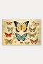Blue Butterfly Paradise Patterned Doormat, 40x60 cm, Non-Slip Sole, Decorative - 5