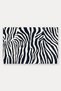Navy Blue and Cream Zebra-Patterned Doormat, 40x60 cm, with Non-Slip Sole, Decorative - 5