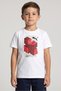 Kids Boy Sportswear Fit Short Sleeve Outdoor T-Shirt, White
