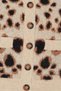 Women V-Neck Animal Print Cardigan, Multicolor - 5