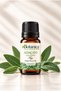 Sage Essential Oil 100% Pure (Bitter Apple Oil) 10 ml – Natural Botanical Essential Oil Sage Oil
