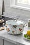 22 CM 4-LITER CLOUD-PATTERNED ENAMELED POT WITH STEEL HANDLES - 3