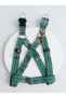 Dog Chest Harness Adjustable Small and Large Breed Colone Cord Green - 2