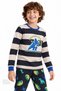 Boys Roarsome Cotton Long Sleeve Pajama Set - 2