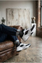 Vivid Voyage II Men's Sneakers - 2