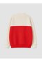 High-Quality Pieces from Çelebi Store: Color Blocked Boys' Thick Suit Set - 4