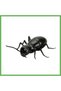 Giant Ant with Lights and Remote Control GEN01
