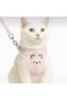 Pet Chest Harness - Set Leash - Mixed Color - 2