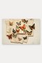 Orange Butterfly Spring Pattern 532 Doormat, 40x60 cm, Non-Slip Sole, Decorative - 5