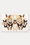 Brown and White Butterfly-Patterned Doormat, 40x60 cm, with Non-Slip Sole, Decorative - 5