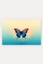 Blue Butterfly Dream Patterned Doormat, 40x60 cm, with Non-Slip Sole, Decorative - 5