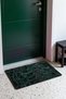 Black and Green Shiny Crocodile-Patterned Doormat, 40x60 cm, with Non-Slip Sole, Decorative - 3