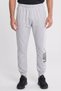 Men Sportswear Fit Outdoor Jogger Pants, Grey