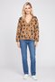 Women V Neck Animal Print Knitted Cardigan, Multicolor - 2