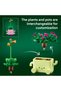 Botanicals Rocking Plants 11506 - 4