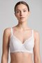 Women's Two-Piece Shaping / Sculpting Lace Bra, Ecru-Navy Blue - 3