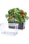 2 - Pack Rectangular Clear Self - Watering Plant Pots with Drainage Holes for Indoor Plants