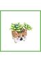 P655016 ANIMAL POTS BOUQUET SETS 336-PIECE BLOCK TOYS GEN01
