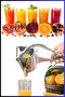 PREMIUM Manual Fruit and Citrus Juicer - Orange-Squeezing Handle Vegetable and Fruit Juicer