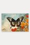 Yellow and Black Butterfly Garden Patterned Doormat, 40x60 cm, with Non-Slip Sole, Decorative - 5
