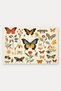 Red and Yellow Butterfly-Patterned Doormat, 40x60 cm, with Non-Slip Sole, Decorative - 5