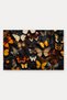 557 Door Mat with Yellow and Brown Butterfly Pattern, 40x60 cm, Non-Slip Sole, Decorative - 5