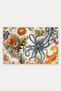 Cream-Gray Vintage Octopus-Patterned Doormat, 40x60 cm, with Non-Slip Sole, Decorative - 5
