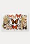 Orange and Blue Butterfly-Patterned 467 Doormat, 40x60 cm, with Non-Slip Sole, Decorative - 5