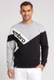 Men Sportswear Fit Long Sleeve Outdoor Sweatshirt, Multicolor