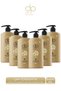 Daily Perfection Shampoo Pine Turpentine 800 ml X 6 Pieces
