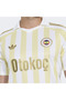 Men's Fenerbahçe Away Jersey Fen a Jsy Ke4425 - 6