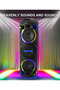 Wireless Bluetooth Speaker with Fm Radio, Tf Memory, Usb, Mic Input, 80W Charger - 6
