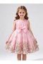 Pink Butterfly Embroidered Mesh Insert Dress