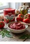 PASTA DE TOMATE 800 gr - 2