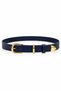Genuine Leather Women's Belt with Gold Buckle and Metal Tips - 3 cm Belt for Jeans and Cloth Pants