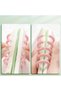 مجموعة دفاتر ملاحظات صغيرة بتصميم حلزوني، مناسبة لتدوين الملاحظات، دفاتر مسطرة محمولة، مقاس 10.3 × 7.3 سم، 80 ورقة/160 صفحة. - 6