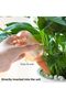 Automatic Watering Device Bird-Shaped, Transparent Drip Irrigator for Home & Balcony Planters, Red C - 2