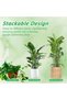 Stackable Plant Support Stakes and Adjustable Circular Trellis for Climbing Plants, Garden Accessori - 4