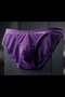 Men's Purple Sheer Briefs