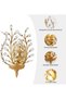 Vintage Gold Crystal Wall Light, E14 Indoor Sconce, 1 Pack - 3