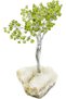 Latas Natural Peridot Gemstone(300 stone) Tree of Life with Crystal Base | Bonsai Feng Shui Money Tree for Stress Relief and Inner Growth