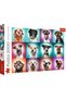 Puzzle 2000 catelusii amuzanti