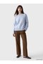 LCW Vision Brown Solid Standard & Regular Flared Women's Pants, Featuring the ALITA CITY Touch
