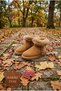 Zeyra Women's Boots with Fur-Lined Suede Exterior - 3