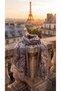 Paisley-Patterned Modal Shawl - 4