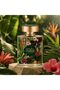 Green Dubai Extrait de Parfum 100ml | Long Lasting Unisex Chypre Fruity Arabic Perfume Inspired by Dubai - 7
