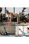 Ankle Straps for Cable Machine Adjustable Fitness Ankle Strap Double D-Ring - 5